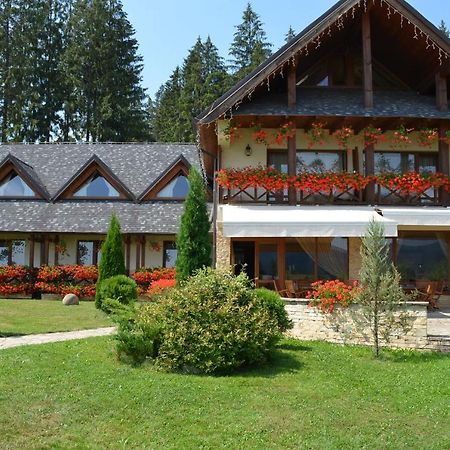 Pensiunea Inima Bucovinei Frasin Exterior foto